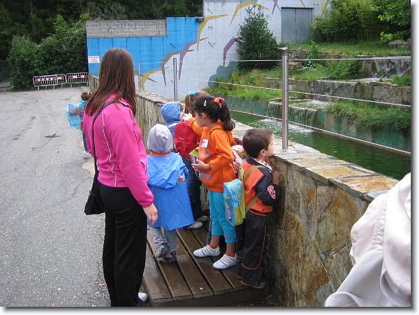 Diapositiva siguiente